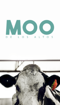 feria holstein